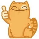 :kot_8: