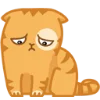 :kot_9: