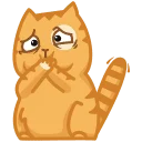 :kot_7: