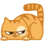 :kot_2: