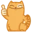 :kot_5: