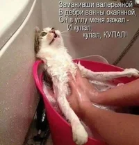 i - 2021-06-05T112616.928.webp