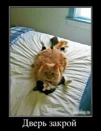 i - 2021-06-05T112834.556.webp