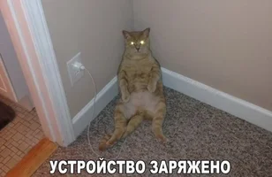 i - 2021-06-06T123952.730.webp