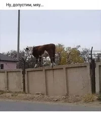 i - 2021-06-11T141356.042.webp