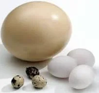 Без названия1.webp