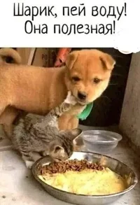 i - 2021-06-11T141811.924.webp