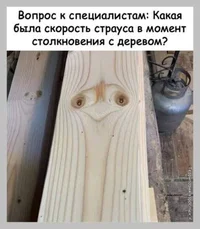 i - 2021-06-11T153627.149.webp