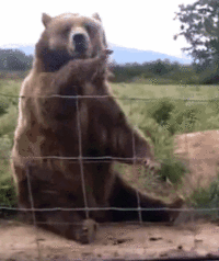 922e0187d2fde83d65e190dda9e7ced05c51ce4c.gif 922e0187d2fde83d65e190dda9e7ced05c51ce4c.gif