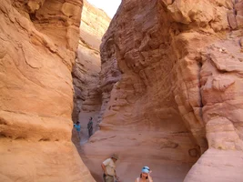 Египет (9).webp