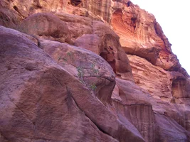 Египет (10).webp