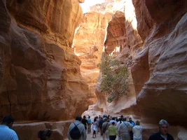 Египет (11).webp