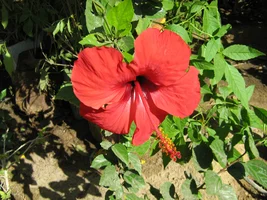 Египет (17).webp