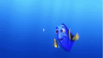 finding-nemo-dory.gif