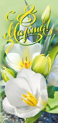 y680vwp21ggowponiakh2in50w06qwwd.webp y680vwp21ggowponiakh2in50w06qwwd.webp