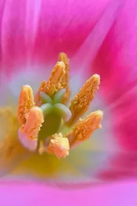 2026-03-08 12-07-03.webp