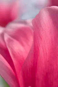 2026-03-08 12-07-43.webp