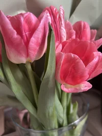 IMG_4374.webp IMG_4374.webp