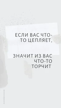 1000094683.webp