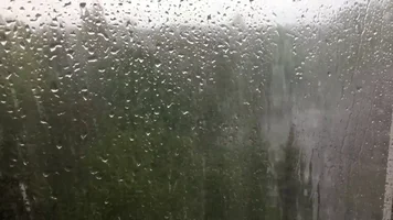 maxresdefault (1).webp