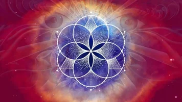 24bfe069c7b7bd59ac504722a69be8d2.webp 24bfe069c7b7bd59ac504722a69be8d2.webp