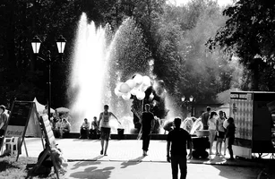 _DSC8613.webp _DSC8613.webp