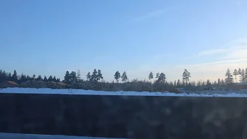 IMG_4077-зима за городом01.webp