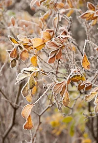 _DSC7843.webp