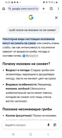 Screenshot_20260924-162510_Chrome.webp Screenshot_20260924-162510_Chrome.webp