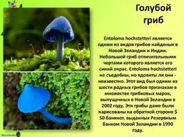 slide-5.webp
