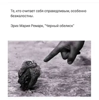 58264.webp