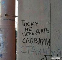 58358.webp