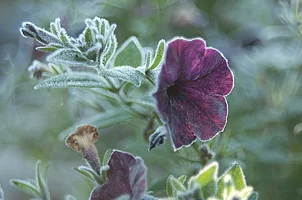 _DSC9109.webp