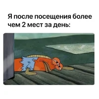 58376.webp