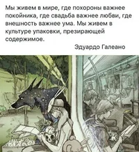 58421.webp
