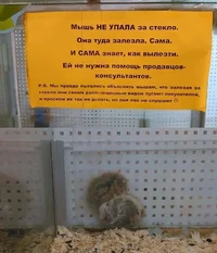 58653.webp