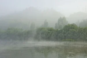 _DSC5209.webp _DSC5209.webp
