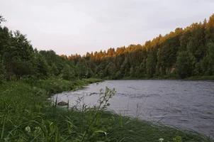 _DSC5434.webp _DSC5434.webp