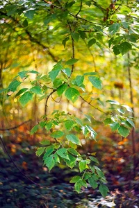 IMG_4260-Edit.webp