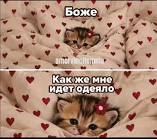 Screenshot_20261003-200825_YouTube.webp