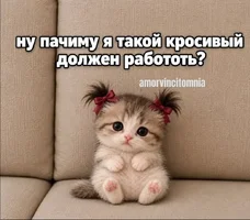 Screenshot_20261003-200836_YouTube.webp