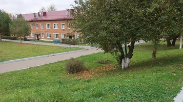 IMG_7712-яблоки.webp
