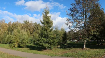 IMG_7763-сквер.webp