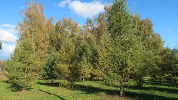 IMG_7766-сквер.webp