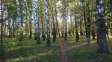 IMG_7778-роща супер.webp