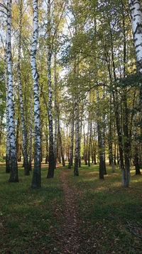 IMG_7779-роща супер.webp