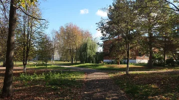 IMG_7784-вид.webp