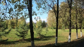 IMG_7796-сквер.webp