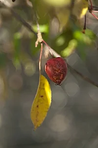 _DSC9138.webp