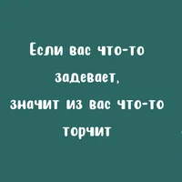 59376.webp